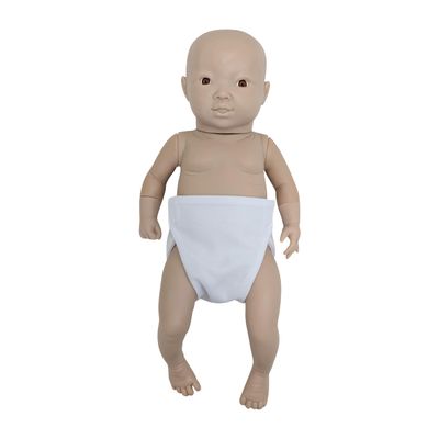 Anatomy Lab Intelligent Baby (Girl)