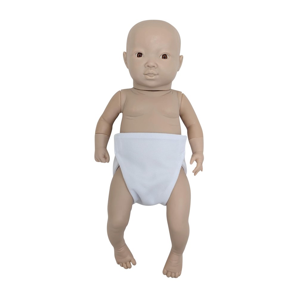 Anatomy Lab Intelligent Baby (Girl)