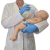 Anatomy Lab Intelligent Baby (Girl) view 2