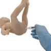 Anatomy Lab Intelligent Baby (Girl) view 4