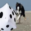 13 inch Giant Inflatable Dice Pool Toy for Lawn Game Outdoor Floor GamesPack of 2 view 3