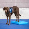 Balance Pad - FitPaws view 2