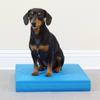 Balance Pad - FitPaws view 3
