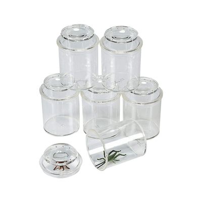 Fun Express See-Through Bug Box Jars  Set for Educational Science & Nature Exploration  Ideal for Kids Learning Activities  Insect Observation & Outdoor Adventures Clear- 10 Pieces