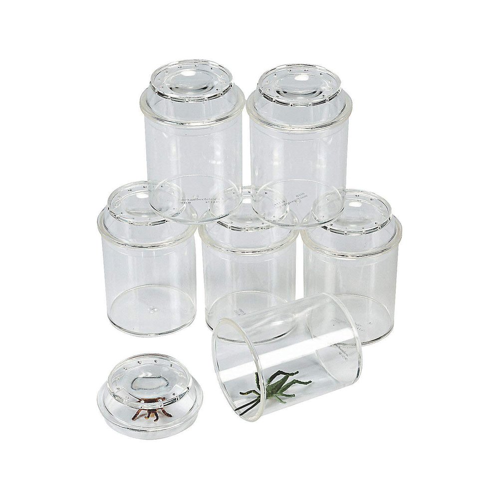 Fun Express See-Through Bug Box Jars Set for Educational Science & Nature Exploration Ideal for Kids Learning Activities Insect Observation & Outdoor Adventures Clear- 10 Pieces