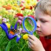 ESSENSON Outdoor Explorer Kit & Bug Catcher Kit with Binoculars, Compass, Magnifying Glass, Critter Case and Butterfly Net Great Toys Kids Gift for Boys & Girls Age 3-12 Year Old Camping Hiking view 4