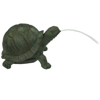 Bermuda Tortoise Spitter