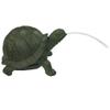 Bermuda Tortoise Spitter view 1