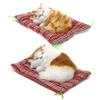 Coolayoung 2Pcs Sleeping Cat on Pad Doll Toy, Cute Mini Kitten on Pad with Meows Sounds Decor Hand Toy Gift for Kids Boys Girls view 1