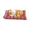 Coolayoung 2Pcs Sleeping Cat on Pad Doll Toy, Cute Mini Kitten on Pad with Meows Sounds Decor Hand Toy Gift for Kids Boys Girls view 2