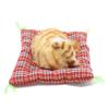 Coolayoung 2Pcs Sleeping Cat on Pad Doll Toy, Cute Mini Kitten on Pad with Meows Sounds Decor Hand Toy Gift for Kids Boys Girls view 3