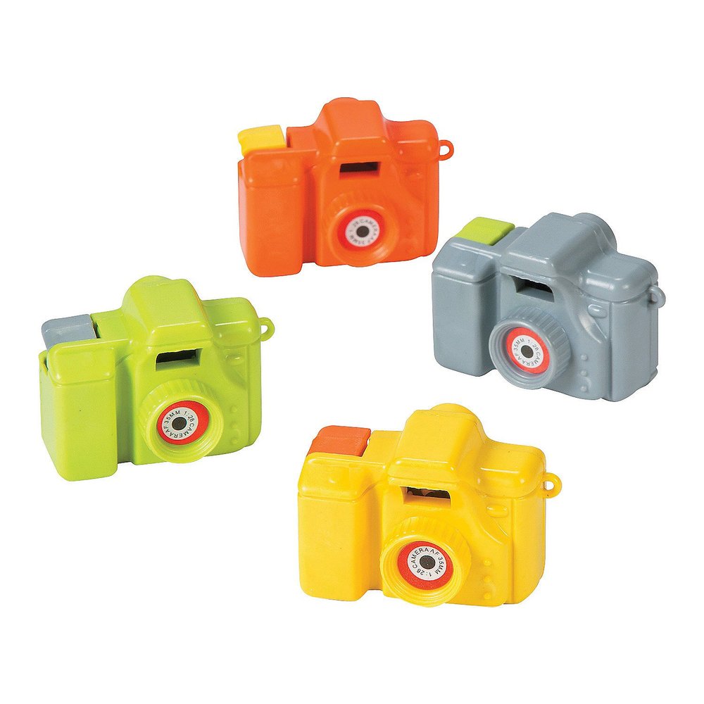Fun Express Zoo Animial Mini Cameras (2dz) - Toys - Value Toys - Misc Value - VBS Vacation Bible School Supplies/Decor Toys - 24 Pieces