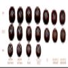Brightvision Special Sampler Set - 18 Redline Wheels  The Premier Reproductions view 2