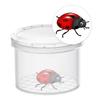 Coopay 20 Pieces Bug Viewer Critter Insect Cage Magnifying Insect Box Bug Magnifier Container Catcher Cage, Science Nature Exploration Tools view 3
