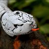 Liberty Imports 16 Inch Remote Control Rattle Snake Toy, Realistic Reptile Robot with Egg Shaped Infrared Receiver, RC Snake Prank Toy Ideal Gift for Kids or for Adults (White) view 4