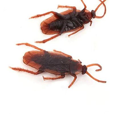 SUMAG 10 Pcs Simulation Cockroach (Fake) Magic Tricks Close up Street Bar Props Comedy Mental Magic Fool Toy Funny
