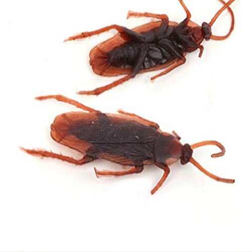 SUMAG 10 Pcs Simulation Cockroach (Fake) Magic Tricks Close up Street Bar Props Comedy Mental Magic Fool Toy Funny