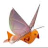 Duncan Toys Dragon Hawk Light-Up Flying Bird - Day/Night Motorized Toy with Shake Auto Start, USB Charger, 2 Flight Positions view 3
