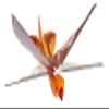 Duncan Toys Dragon Hawk Light-Up Flying Bird - Day/Night Motorized Toy with Shake Auto Start, USB Charger, 2 Flight Positions view 4