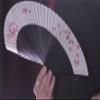 MJM Fantast by Po-Cheng Lai - DVD view 2