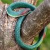 6 Pieces Rubber Snakes Realistic for Halloween Decoration Large Fake Garden Snake to Keep Birds Away Scare Squirrels in 2 Sizes 47 Inches and 29 Inches, Black Lifelike Toys for Garden Prank Props view 4
