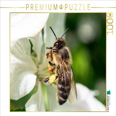 CALVENDO Puzzle Bee Very Close 1000 Pieces 64 x 48 cm from Andrea Dreegmeyer
