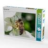 CALVENDO Puzzle Bee Very Close 1000 Pieces 64 x 48 cm from Andrea Dreegmeyer view 4