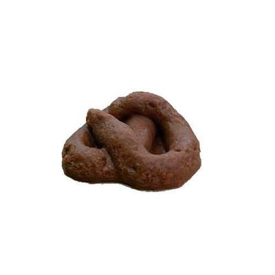Fake Poop