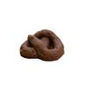 Fake Poop view 1