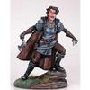 Asha Greyjoy Fighter Miniature George R.R. Martin Masterworks Dark Sword Miniatures view 1