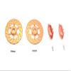 Aluminum Front Or Rear Brake Disk + Brake Caliper For 1/10 Traxxas Ford GT 4-Tec 2.0 83056-4/4-Tec 3.0 93054-4 - 4Pc Set Orange view 1