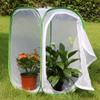 3-Pack Insect and Butterfly Habitat Cage Terrarium Pop-up Butterfly Enclosure (3 x 15.7 x 15.7 x 23.6") view 3