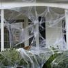 Hosfairy Halloween 100g White Spider Web with 30 Black Spiders with 30 Fake Cockroaches and 30 Fake Centipede for Prank Party Decoration Tricky Prop view 2