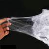 Hosfairy Halloween 100g White Spider Web with 30 Black Spiders with 30 Fake Cockroaches and 30 Fake Centipede for Prank Party Decoration Tricky Prop view 4