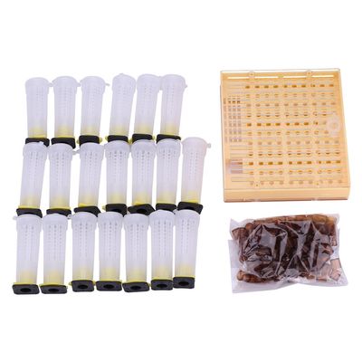 Queen Bee Breeding Kit, Beekeeping Rearing Cup Set, Apiculture Tool Box for Queen Bee Rearing, Plastic Bee Keeper Cultivating Supplies Catcher Box Tool Set