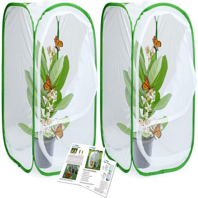 24" Insect and Butterfly Habitat Monarch Butterfly Enclosure for Caterpillars Pop Up 24 Inches Tall Pack of 2