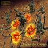 LITKO Large Fire Tokens, Fluorescent Amber (5) view 2
