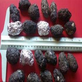 25 Medium Owl Pellet Pack (1.5-2 inch)