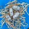 25 Medium Owl Pellet Pack (1.5-2 inch) view 4