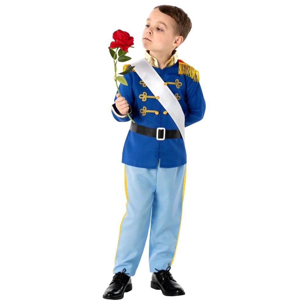 fun shack Prince Costume for Boys, Prince Charming Costume Boys, Book Characters Costumes for Kids, Medium