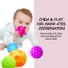 ROHSCE Baby Textured Multi Sensory Toys Massage Ball Gift Set BPA Free for Toddlers 1-3 Soft Balls Montessori Infant Baby Toys 6 to 12 Months 6 Pack view 4