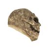 GOODKSSOP Unisex Retro Old Scary Skull Halloween Mask Cosplay Horrible Head Full Face Latex Helmet Creepy Costume Prop for Carnival Themed Party view 4