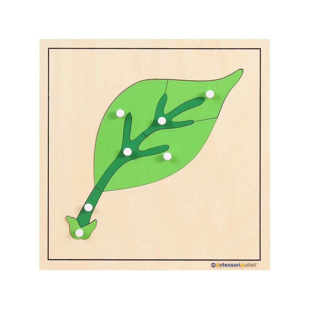 MONTESSORI OUTLET Nature Materials Leaf Puzzle Early Preschool Learning Toys for 3-12 Year Old Kids and Toddler