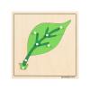 MONTESSORI OUTLET Nature Materials Leaf Puzzle Early Preschool Learning Toys for 3-12 Year Old Kids and Toddler view 1