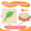 MONTESSORI OUTLET Nature Materials Leaf Puzzle Early Preschool Learning Toys for 3-12 Year Old Kids and Toddler view 4