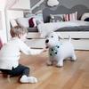 Kindsgut Bouncy Animal Hopper Dog for Children, Designed in Germany, Playful and Modern Colors, air Pump Included, Indoors and Outdoors view 2