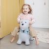 Kindsgut Bouncy Animal Hopper Dog for Children, Designed in Germany, Playful and Modern Colors, air Pump Included, Indoors and Outdoors view 4
