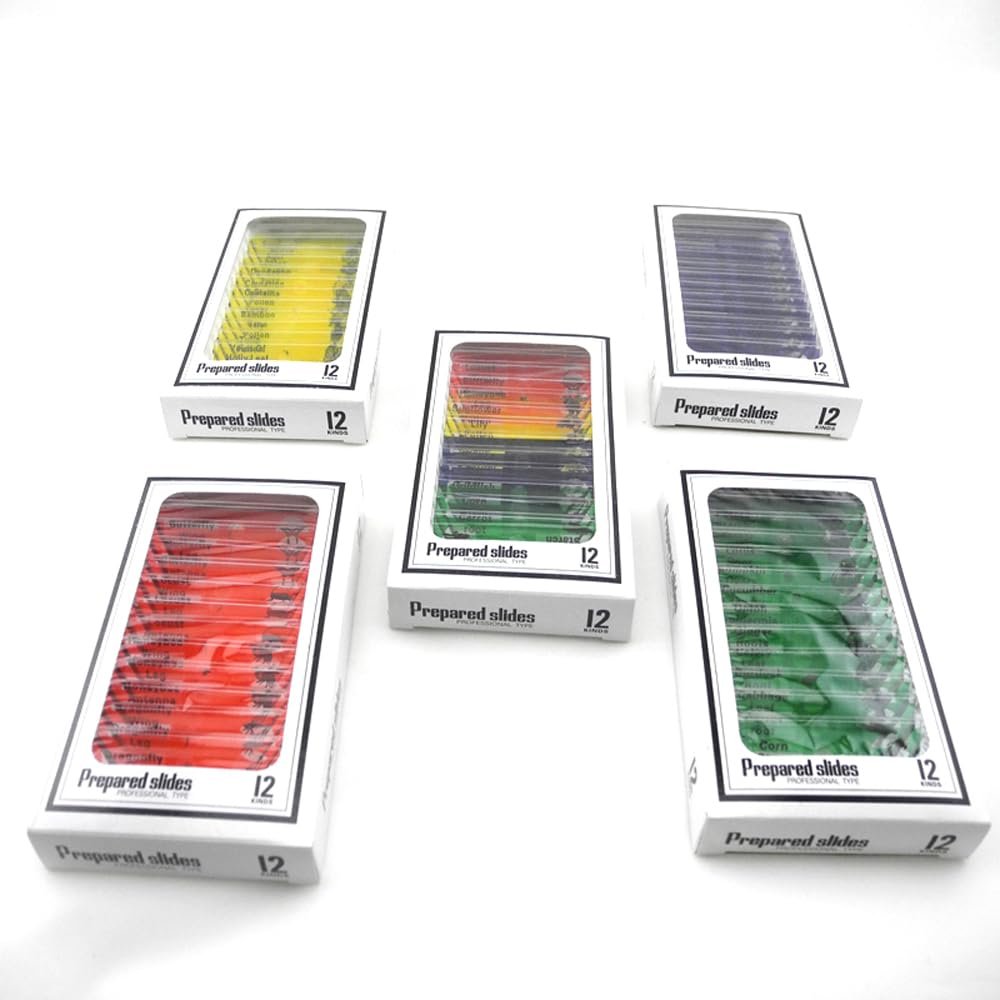 12pcs/Set Microscope Plastic Prepared Slides Set for Student Basic Biology Education (All Colors)