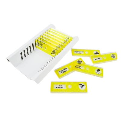 12pcs/Set Microscope Plastic Prepared Slides Set for Student Basic Biology Education (Yellow Set)