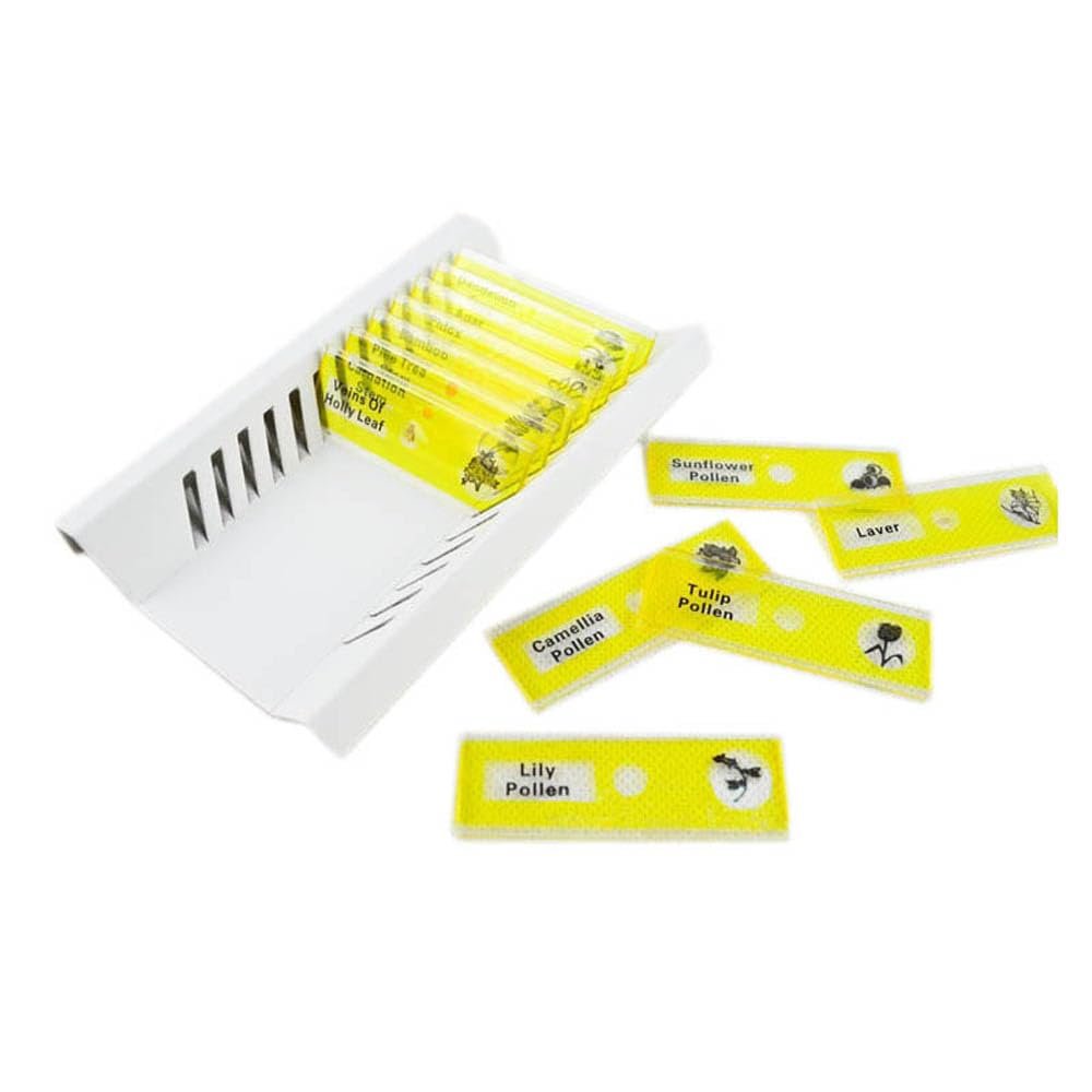 12pcs/Set Microscope Plastic Prepared Slides Set for Student Basic Biology Education (Yellow Set)